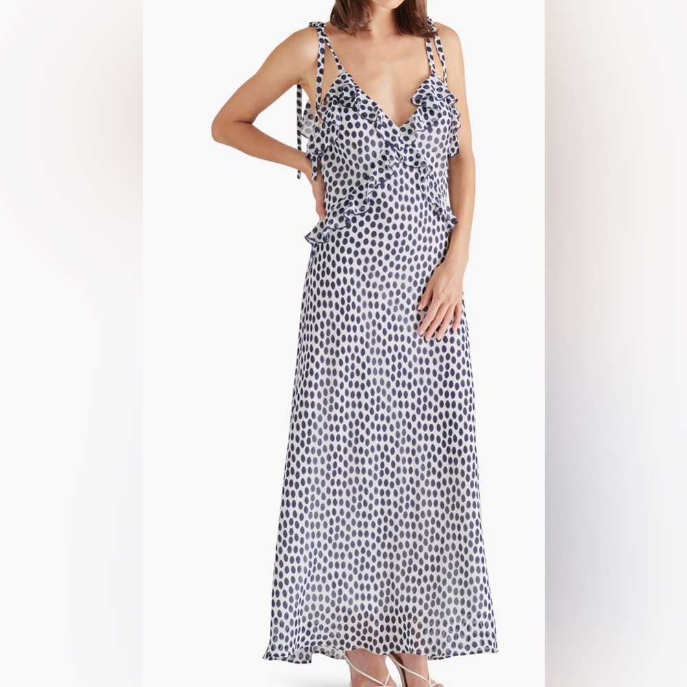 Steve Madden Blue and White Polka Dot Maxi Dress